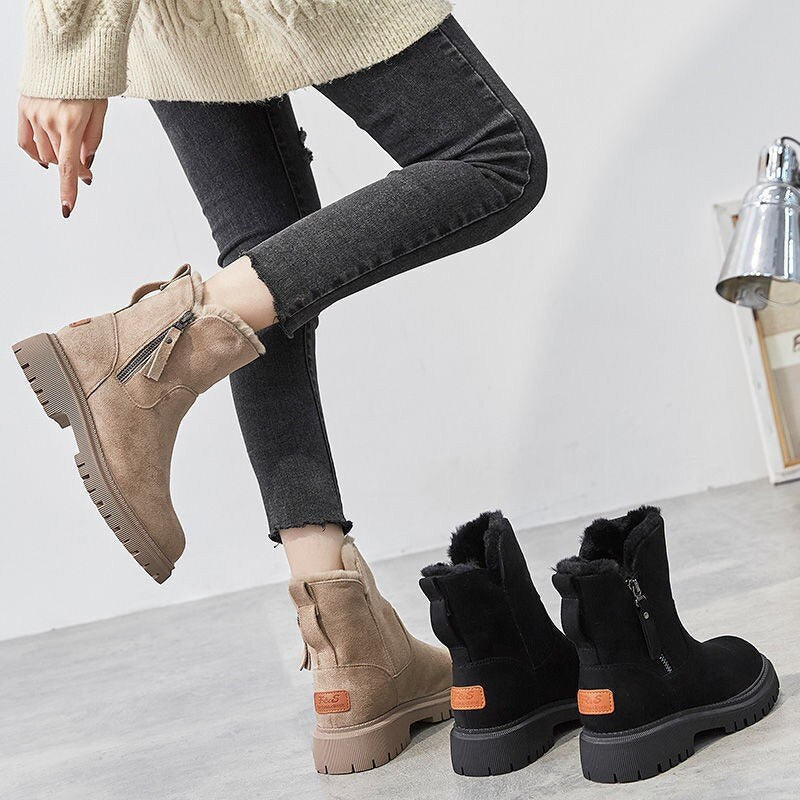 Alpine Warm